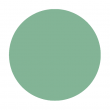 Mint Convertible - Shellac
