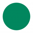 Art Basil - Shellac
