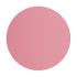 Blush Teddy - Shellac