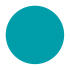 Aqua-Intance - Shellac