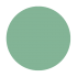 Mint Convertible - Shellac