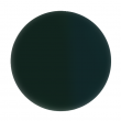 Overtly Onyx - Shellac